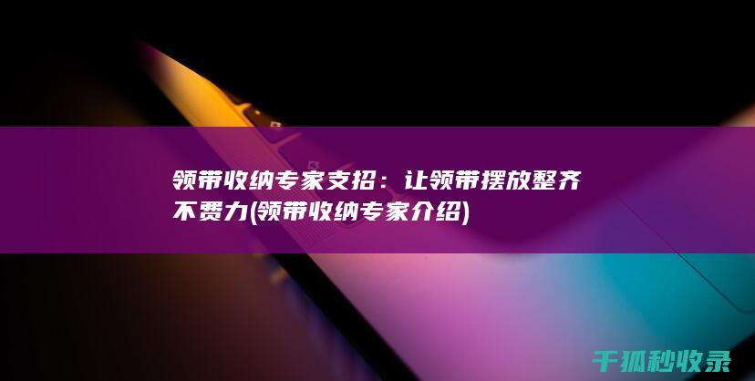 领带收纳专家支招：让领带摆放整齐不费力 (领带收纳专家介绍)