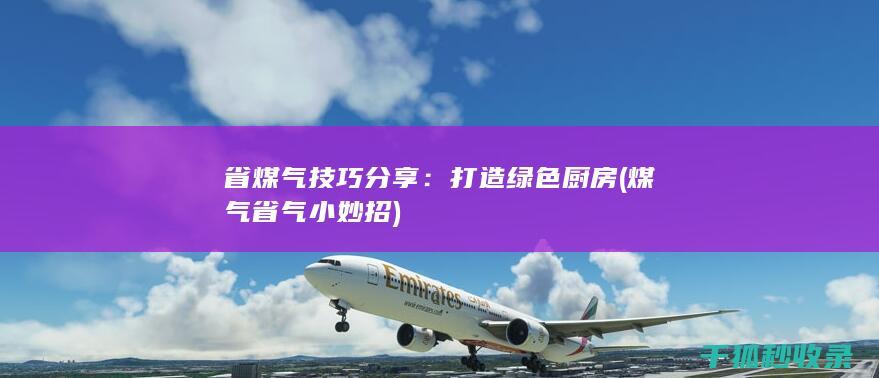 省煤气技巧分享：打造绿色厨房 (煤气省气小妙招)