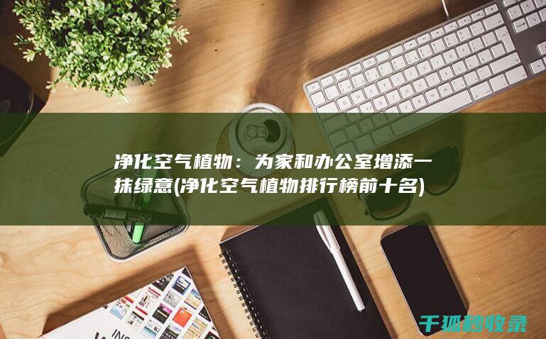 净化空气植物：为家和办公室增添一抹绿意 (净化空气植物排行榜前十名)