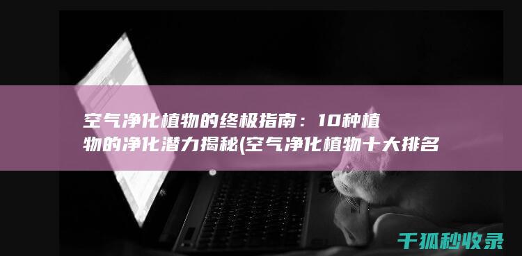 空气净化植物的终极指南：10种植物的净化潜力揭秘 (空气净化植物十大排名)