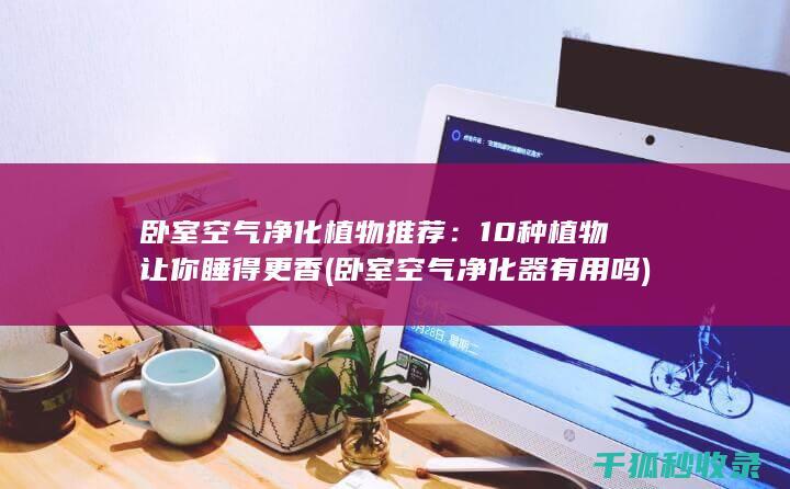 卧室空气净化植物推荐：10种植物让你睡得更香 (卧室空气净化器有用吗)