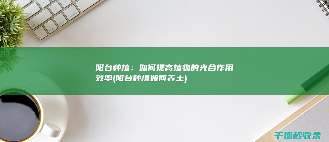 阳台种植：如何提高植物的光合作用效率 (阳台种植如何养土)