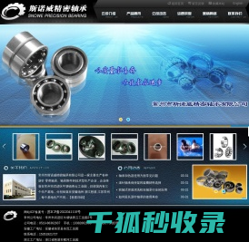 常州市斯诺威精密轴承有限公司